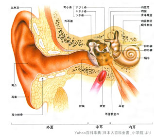 �N���b�N�ő傫�Ȏʐ^