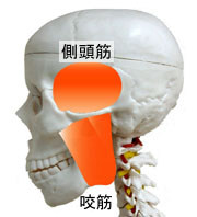 �����؂ƙ��؂̊G